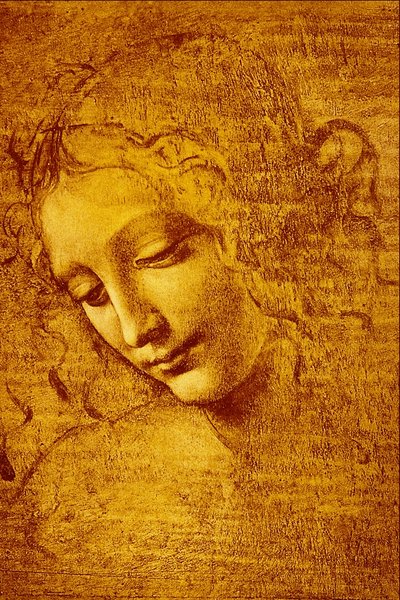 Head of a Girl called La... by Leonardo da Vinci